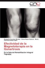 Könyv Efectividad de La Magnetoterapia En La Gonartrosis Margarita González Méndez