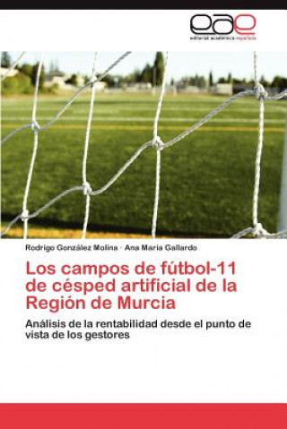Carte Campos de Futbol-11 de Cesped Artificial de La Region de Murcia Rodrigo González Molina