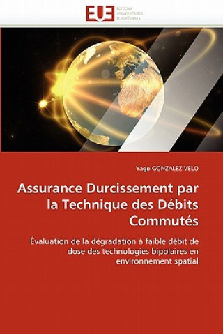 Könyv Assurance durcissement par la technique des debits commutes Yago Gonzalez Velo