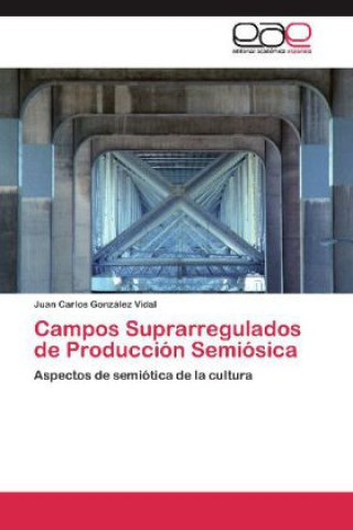 Könyv Campos Suprarregulados de Producción Semiósica Juan Carlos González Vidal