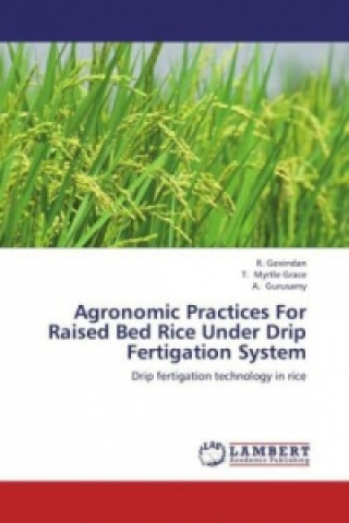 Kniha Agronomic Practices For Raised Bed Rice Under Drip Fertigation System R. Govindan