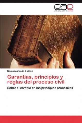 Книга Garantias, Principios y Reglas del Proceso Civil Osvaldo Alfredo Gozaíni