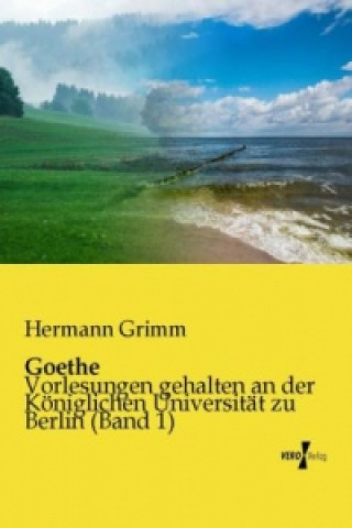 Knjiga Goethe Hermann Grimm