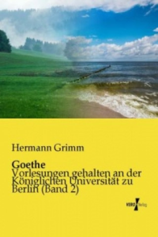 Książka Goethe Hermann Grimm