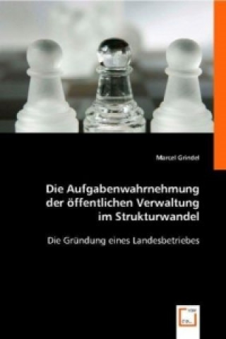 Libro Die Aufgabenwahrnehmung der öffentlichen Verwaltung im Strukturwandel Marcel Grindel