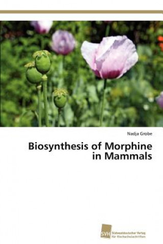 Könyv Biosynthesis of Morphine in Mammals Nadja Grobe