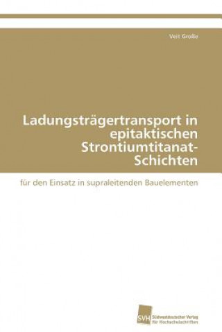 Kniha Ladungstragertransport in epitaktischen Strontiumtitanat-Schichten Veit Große