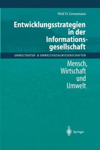 Carte Entwicklungsstrategien in Der Informationsgesellschaft Wolf D. Grossmann