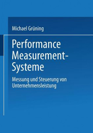 Knjiga Performance-Measurement-Systeme Michael Grüning