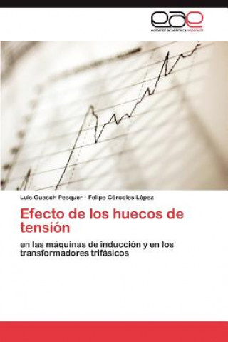 Knjiga Efecto de los huecos de tension Luis Guasch Pesquer