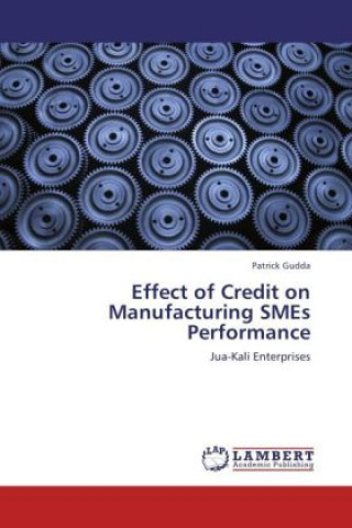 Könyv Effect of Credit on Manufacturing SMEs Performance Patrick Gudda
