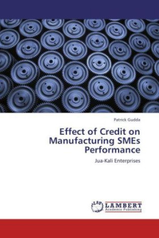 Książka Effect of Credit on Manufacturing SMEs Performance Patrick Gudda