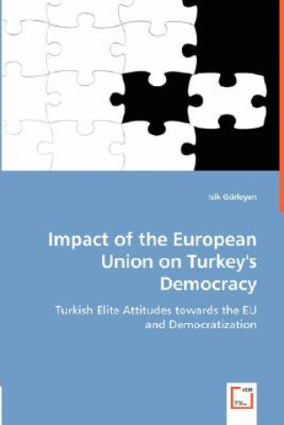 Buch Impact of the European Union on Turkey's Democracy Isik Gürleyen