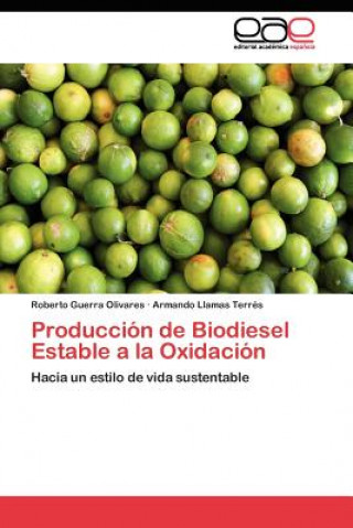 Kniha Produccion de Biodiesel Estable a la Oxidacion Guerra Olivares Roberto