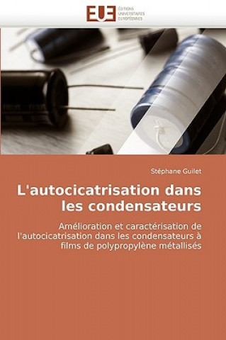 Livre L'Autocicatrisation Dans Les Condensateurs Stéphane Guilet