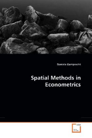 Könyv Spatial Methods in Econometrics Daniela Gumprecht