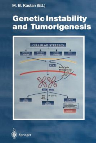 Książka Genetic Instability and Tumorigenesis Michael B. Kastan
