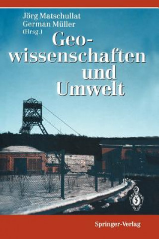 Kniha Geowissenschaften und Umwelt Jörg Matschullat