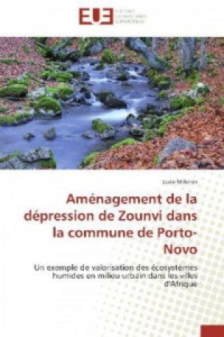 Книга Aménagement de la dépression de Zounvi dans la commune de Porto-Novo Juste Milohin