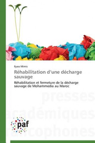 Kniha Rehabilitation D Une Decharge Sauvage Ilyass Mimis