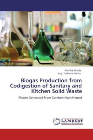 Könyv Biogas Production from Codigestion of Sanitary and Kitchen Solid Waste Martha Minale