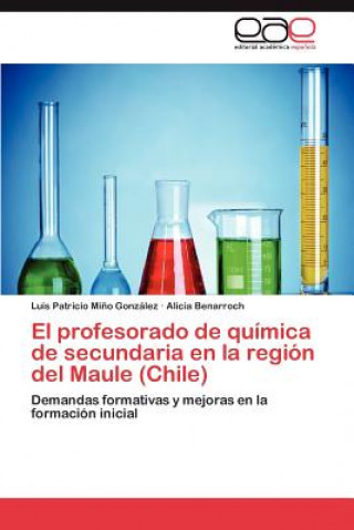 Könyv Profesorado de Quimica de Secundaria En La Region del Maule (Chile) Alicia Benarroch
