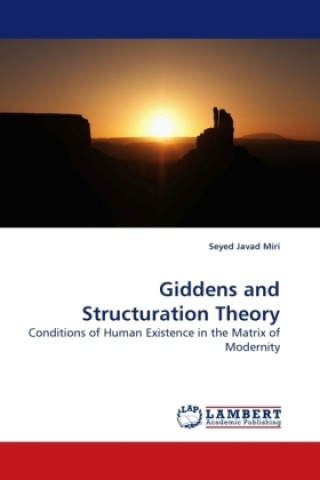 Kniha Giddens and Structuration Theory Seyed Javad Miri