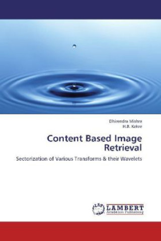 Livre Content Based Image Retrieval Dhirendra Mishra