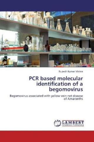 Buch PCR based molecular identification of a begomovirus Rupesh Kumar Mishra