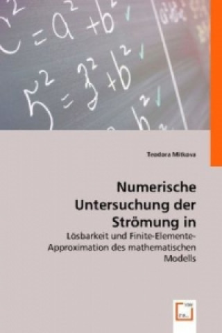 Boek Numerische Untersuchung der Strömung in Magnetfluiddichtungen Teodora Mitkova