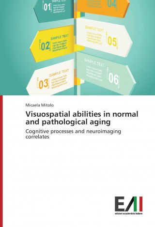 Książka Visuospatial abilities in normal and pathological aging Micaela Mitolo