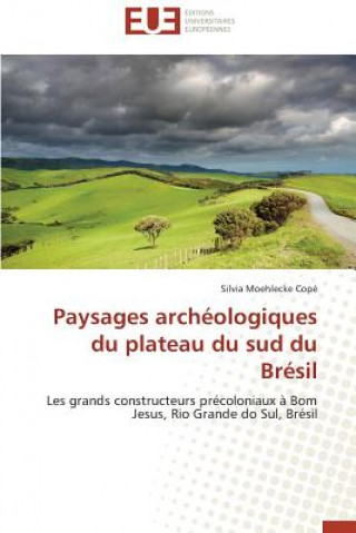 Knjiga Paysages Arch ologiques Du Plateau Du Sud Du Br sil Silvia Moehlecke Copé