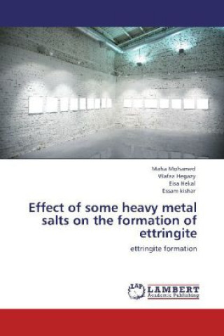 Carte Effect of some heavy metal salts on the formation of ettringite Maha Mohamed