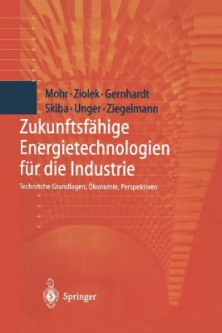 Libro Zukunftsfähige Energietechnologien für die Industrie Markus Mohr