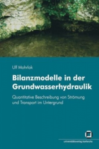 Livre Bilanzmodelle in der Grundwasserhydraulik Ulf Mohrlok