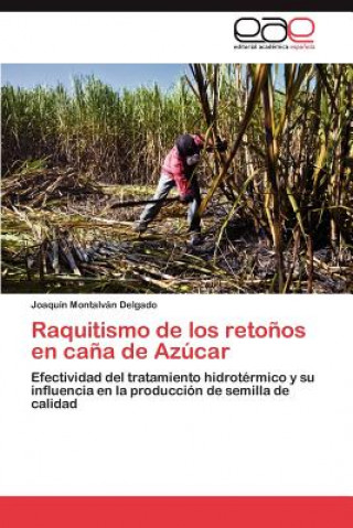 Carte Raquitismo de Los Retonos En Cana de Azucar Joaquín Montalván Delgado