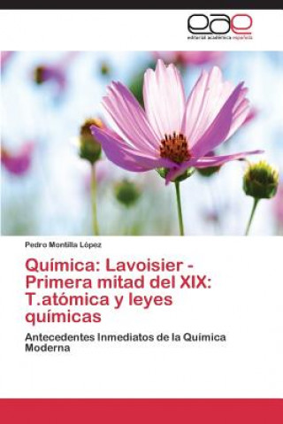 Kniha Quimica Pedro Montilla López