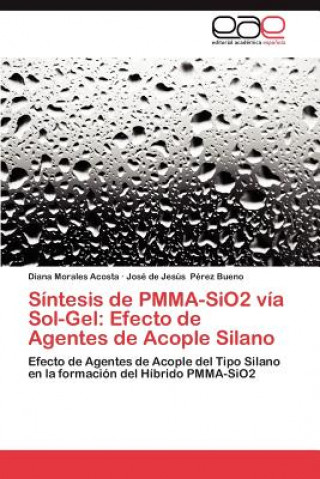 Knjiga Sintesis de Pmma-Sio2 Via Sol-Gel Diana Morales Acosta