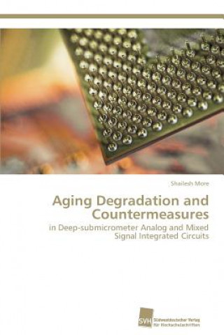 Kniha Aging Degradation and Countermeasures Shailesh More