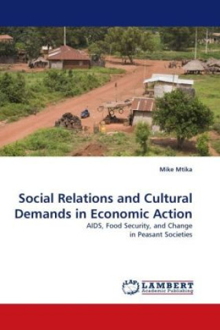 Kniha Social Relations and Cultural Demands in Economic Action Mike Mtika