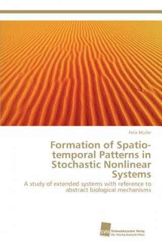 Könyv Formation of Spatio-Temporal Patterns in Stochastic Nonlinear Systems Felix Müller