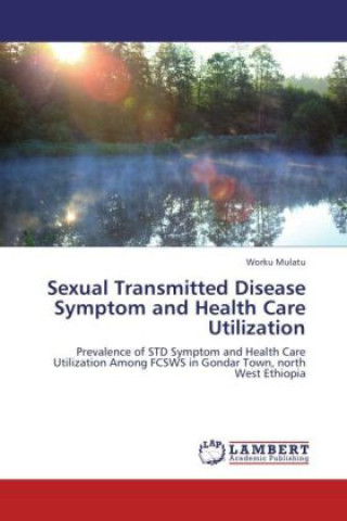 Könyv Sexual Transmitted Disease Symptom and Health Care Utilization Worku Mulatu