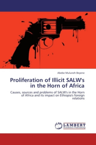 Carte Proliferation of Illicit SALW's in the Horn of Africa Abebe Muluneh Beyene