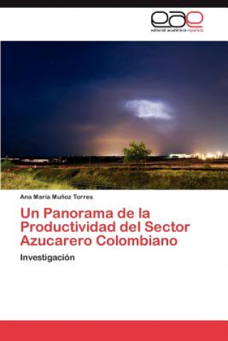 Buch Panorama de la Productividad del Sector Azucarero Colombiano Munoz Torres Ana Maria