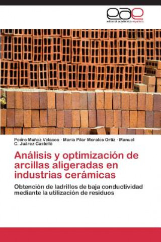 Kniha Analisis y optimizacion de arcillas aligeradas en industrias ceramicas María Pilar Morales Ortíz