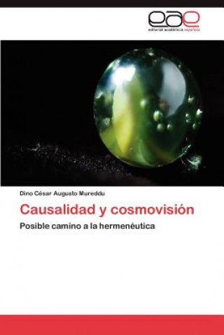 Kniha Causalidad y cosmovision Dino César Augusto Mureddu