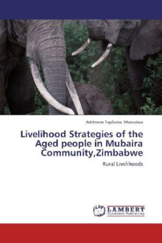 Carte Livelihood Strategies of the Aged people in Mubaira Community,Zimbabwe Addmore Tapfuma Muruviwa