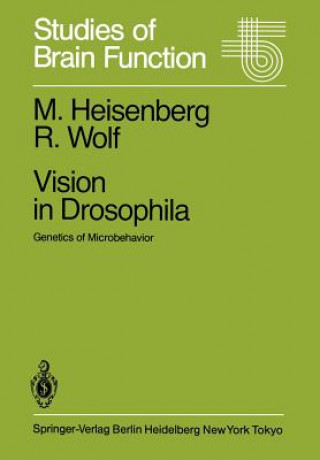 Könyv Vision in Drosophila M. Heisenberg