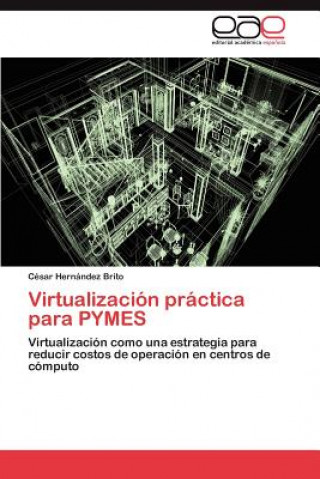 Kniha Virtualizacion Practica Para Pymes César Hernández Brito