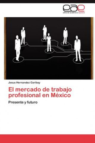 Könyv mercado de trabajo profesional en Mexico Jesus Hernandez Garibay